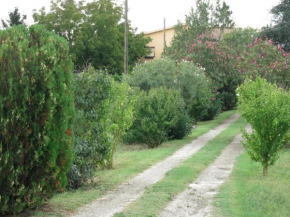 AL MANDORLO Casa Vacanze Viterbo